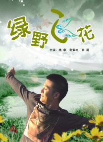 一级特级毛片